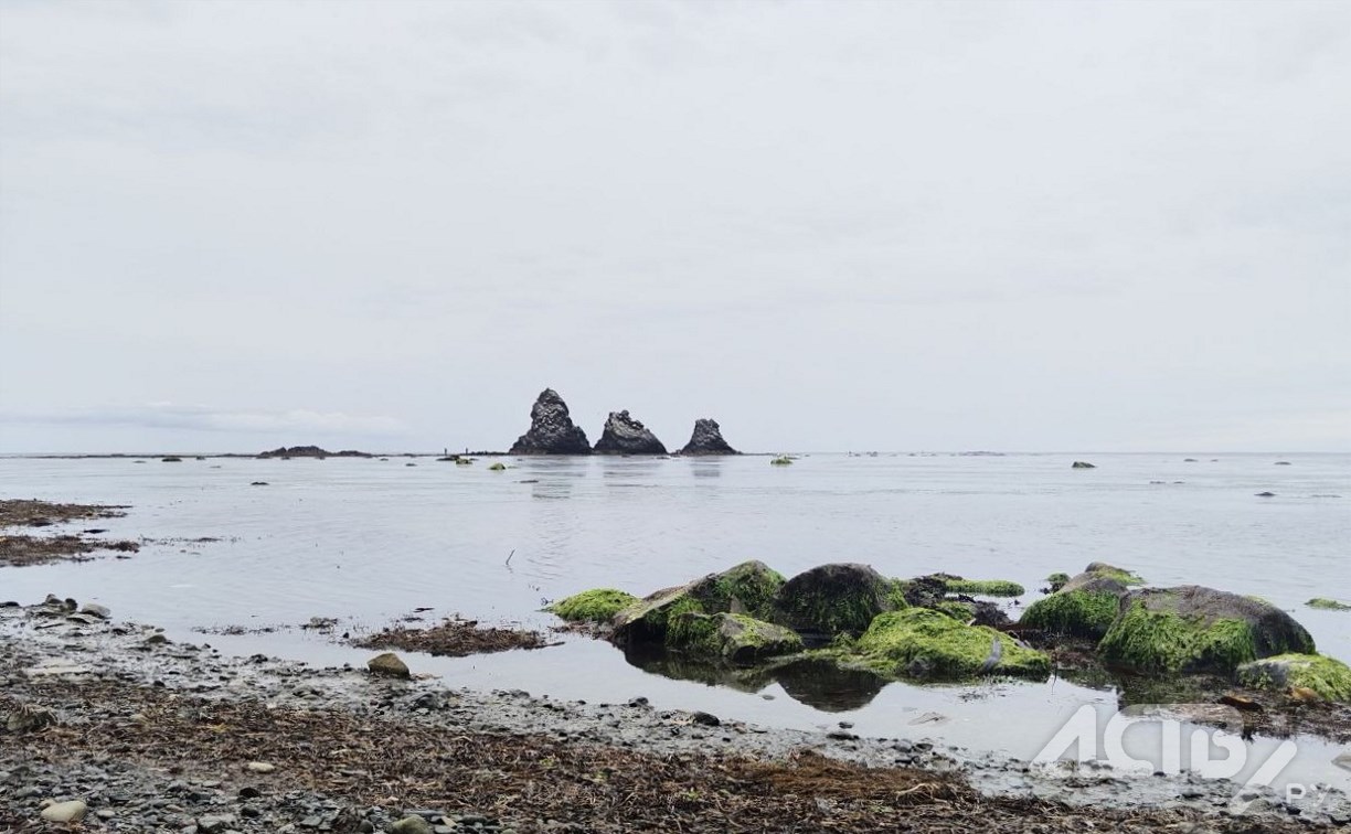 Историки определились с годом рождения Александровска-Сахалинского: помог принцип урбанистики