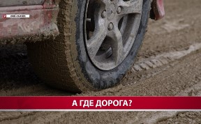 Общество