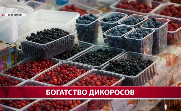 Глаза округляются: литр клоповки на Сахалине обойдётся в 1700 рублей