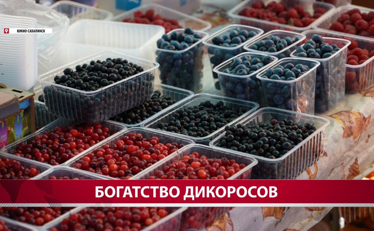 Глаза округляются: литр клоповки на Сахалине обойдётся в 1700 рублей
