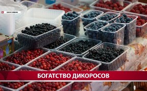 Общество