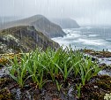 На Сахалине подмыло насыпь железной дороги - четыре пригородных поезда отменили