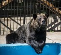 Сахалинскому зоопарку исполнилось 23 года