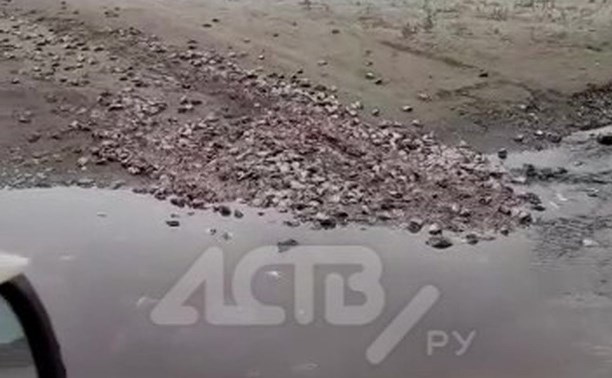 Кучу рыбьих голов рассыпали на побережье Сахалина