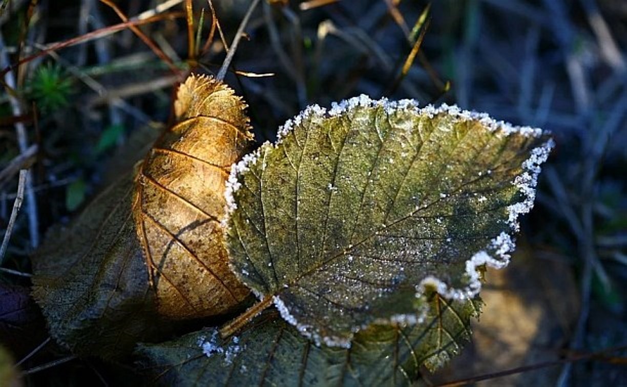 На Сахалине морозно и без осадков - прогноз погоды на 1 ноября