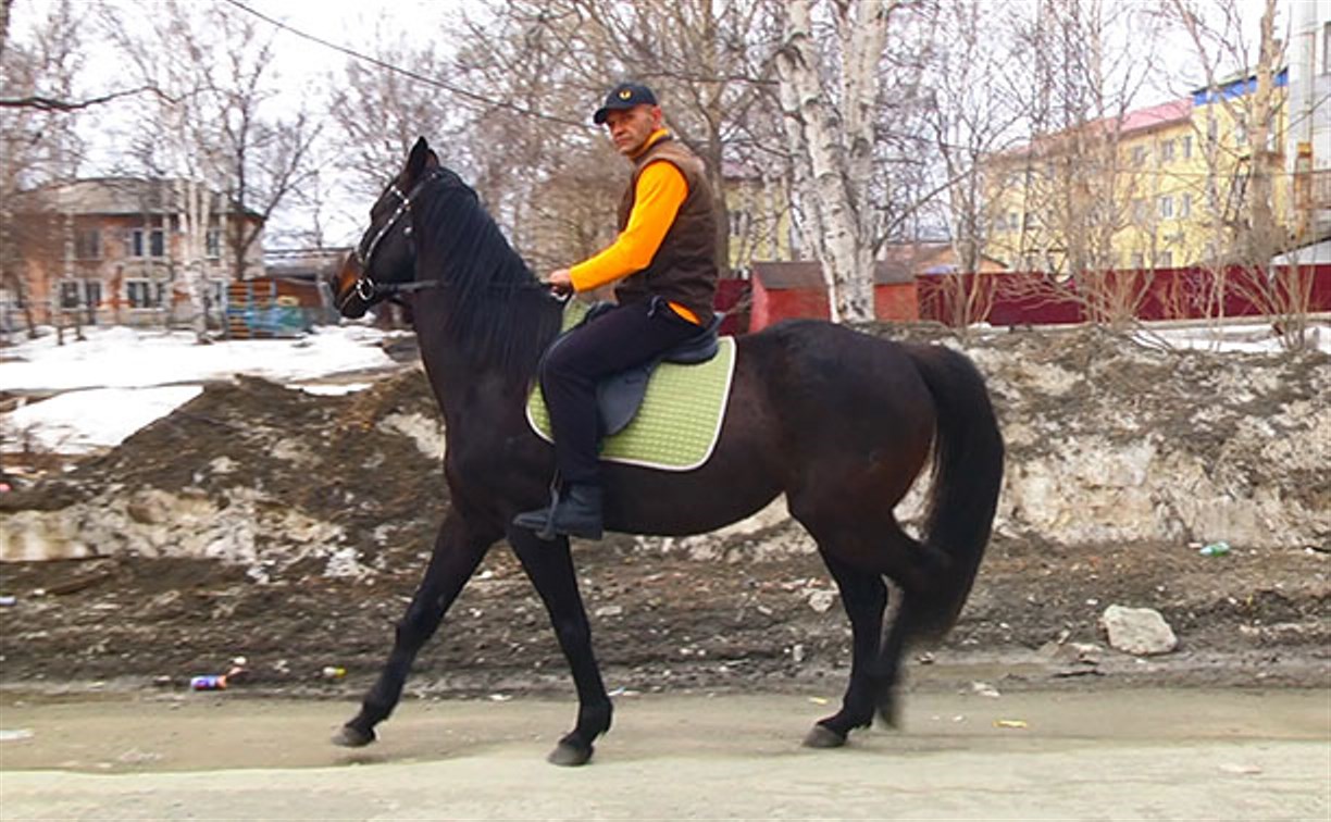 Житель Южно-Сахалинска хочет участвовать в параде Победы верхом на коне