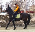 Житель Южно-Сахалинска хочет участвовать в параде Победы верхом на коне
