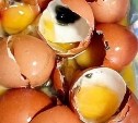 Жителей Камчатки попытались накормить тухлыми яйцами