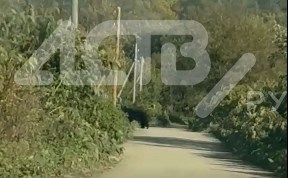 Общество