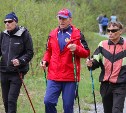 На Сахалине пенсионерам бесплатно раздают палки для скандинавской ходьбы