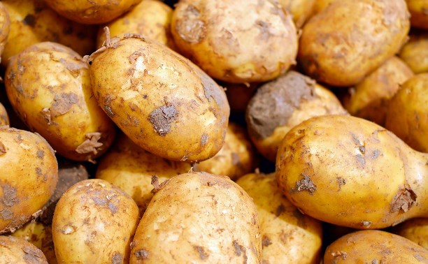 В Южно-Сахалинске упали цены на огурцы и картофель, но выросли - на помидоры