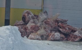 Происшествия