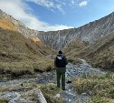 Следком завел уголовное дело после нападения медведя на людей в Курильском районе