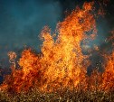 200 квадратных метров травы горели в Углегорском районе