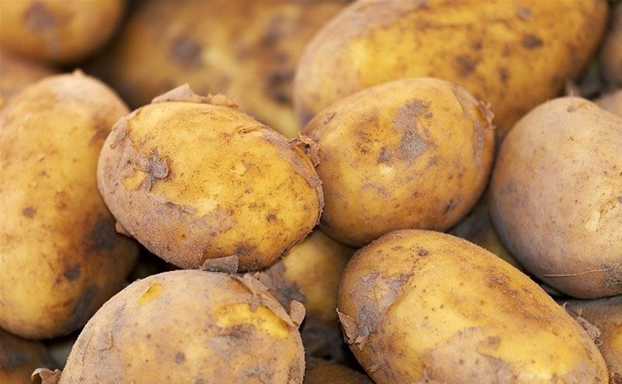 Молодой картофель поступил в магазины Южно-Сахалинска