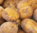 Молодой картофель поступил в магазины Южно-Сахалинска