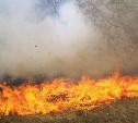 На Сахалине во время ветра выгорело несколько участков травы