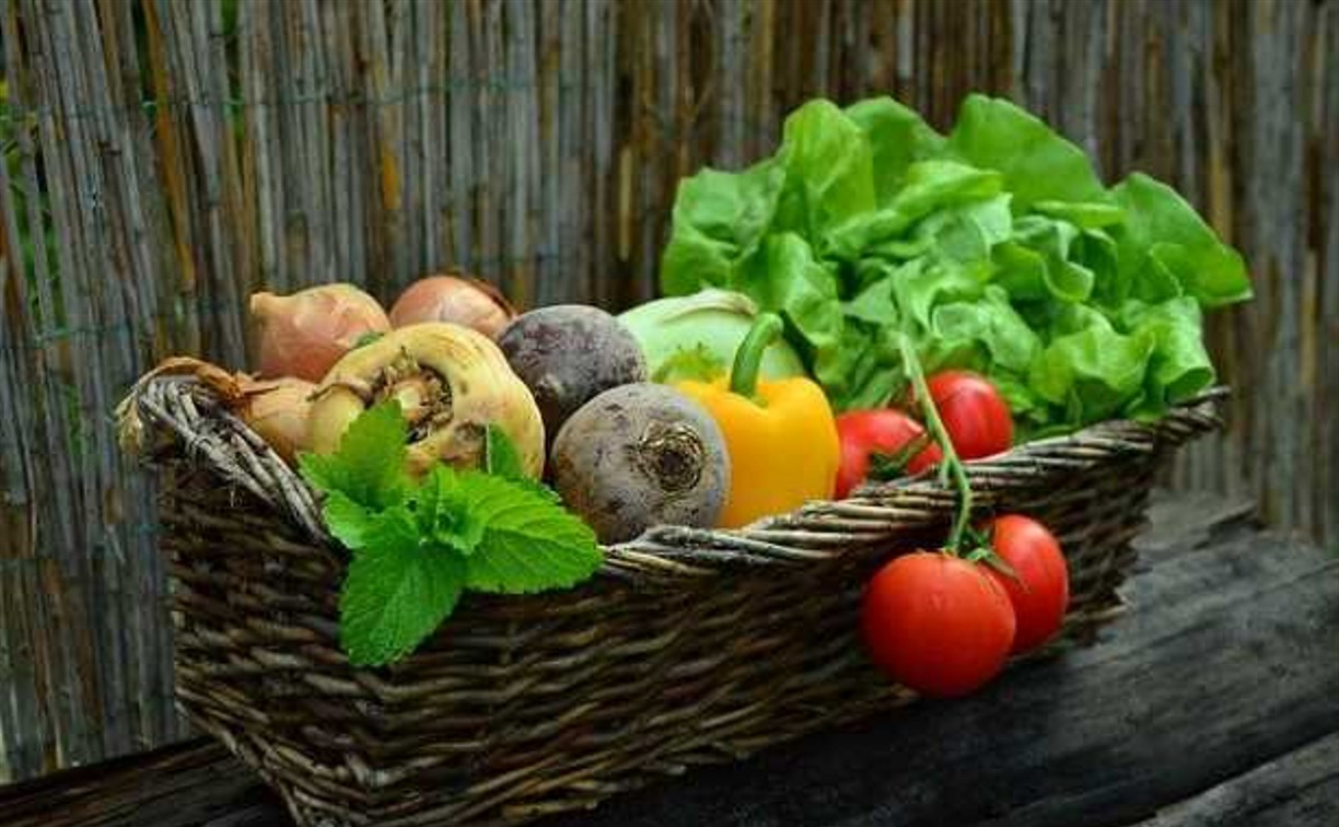 Круглый год по доступным ценам смогут покупать овощи жители Сахалина