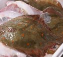 Торговля рыбой по сниженной цене развернулась в Южно-Сахалинске