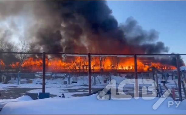 Территория приюта "Пёс и кот" в Южно-Сахалинске охвачена огнём