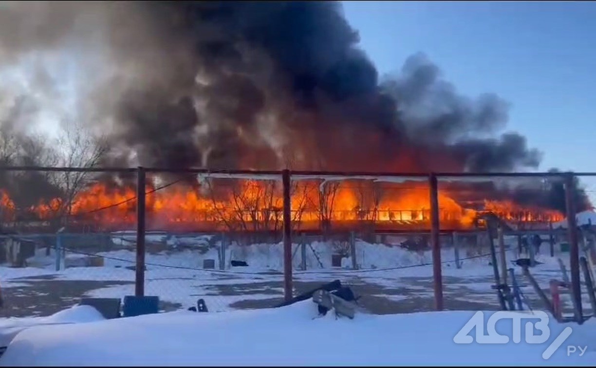Территория приюта "Пёс и кот" в Южно-Сахалинске охвачена огнём