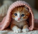 Без горячей воды и отопления внепланово осталась часть Южно-Сахалинска