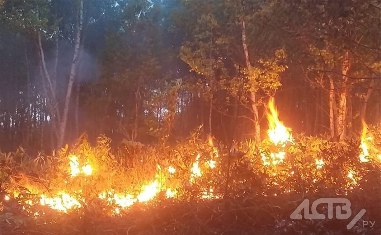 Новый вездеход для тушения лесных пожаров поступил в Корсаковский район