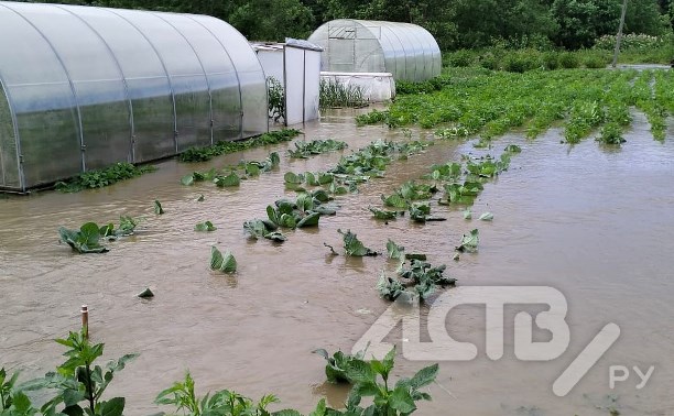 Жительница подтопленного Красногорска показала, во что превратился её огород
