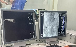 Общество
