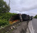 Кювет завалило картофелем в результате опрокидывания большегруза на Сахалине