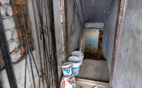 Общество