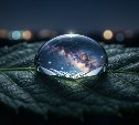 Гороскоп на 25 сентября: Весы — ищут баланс, а Рыбы — творят странное
