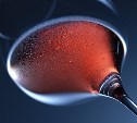 Безградусный тренд: спрос на безалкогольное вино в России вырос на 40–80%