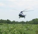 Плантации с коноплей обнаружили сахалинские полицейские во время облета на вертолете