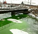 Зеленая вода в реке напугала жителей Корсакова 