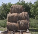 На задержку зарплаты пожаловались сотрудники сахалинского сельхозкооператива