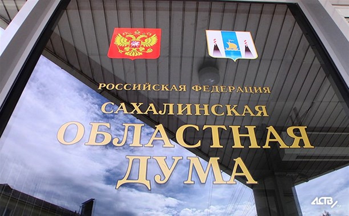 Сахалинские депутаты разделились во мнениях о «соцсетях по паспорту»