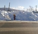 Водитель автобуса в Южно-Сахалинске высадил 9-летнюю школьницу посреди дороги: начата проверка