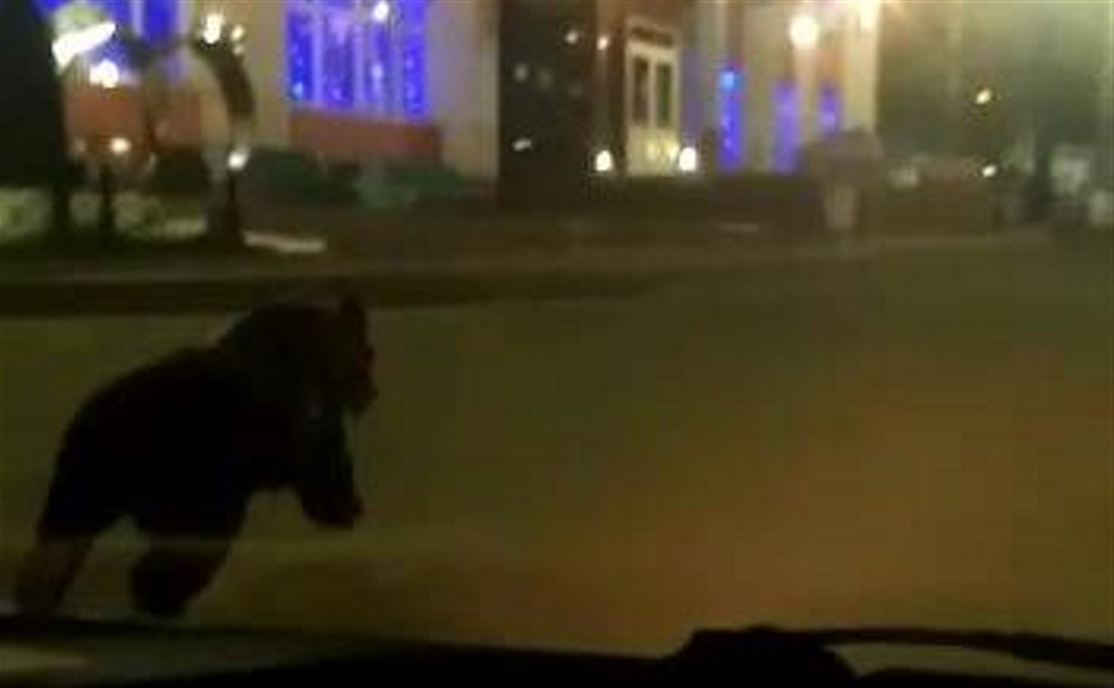 В Охе по центру города пробежал медведь