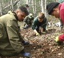 В районе сопок Длинная и Плоская на Сахалине нашли останки советских бойцов и японца