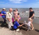 Не останавливают ни грязная вода, ни плохое дно: спасатели провели рейд на пляже в Анивском районе