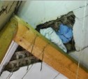 Жители многоквартирного дома в Березняках опасаются за свои жизни