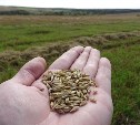 В Сахалинской области увеличили объемы заготовки кормов