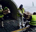 Самолет доставил 40 тысяч цыплят на Сахалин