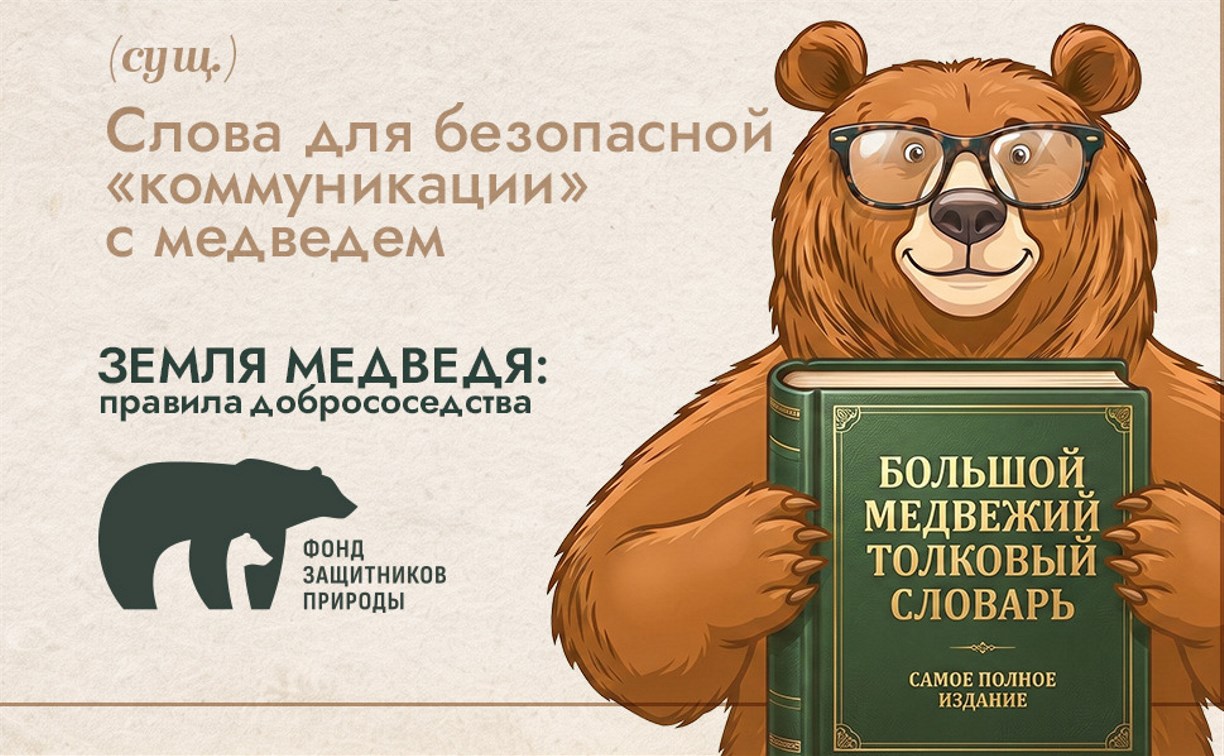 "Великан", "отложенное убийство", "тихий ниндзя": в России появился медвежий словарь 