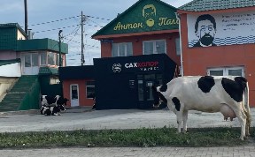 Общество