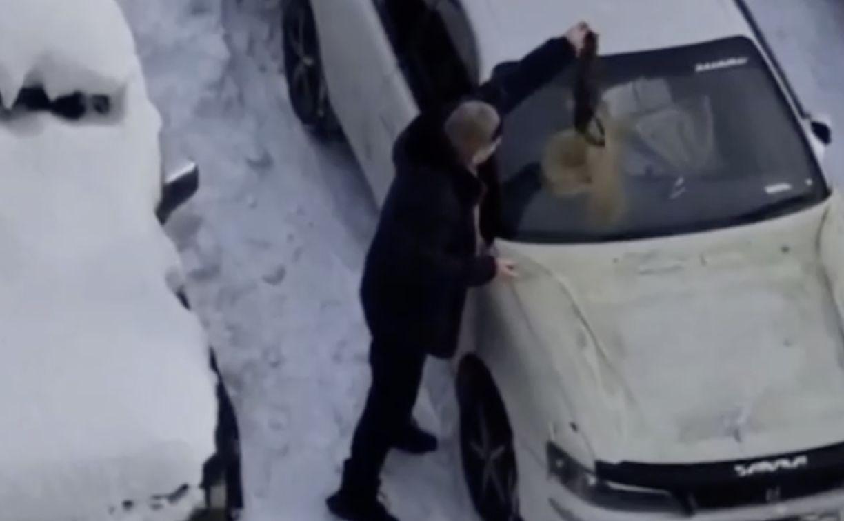 На Камчатке парковщик забросал занявший его место автомобиль кошачьими фекалиями