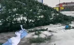 Происшествия