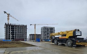 Общество