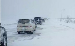 Общество